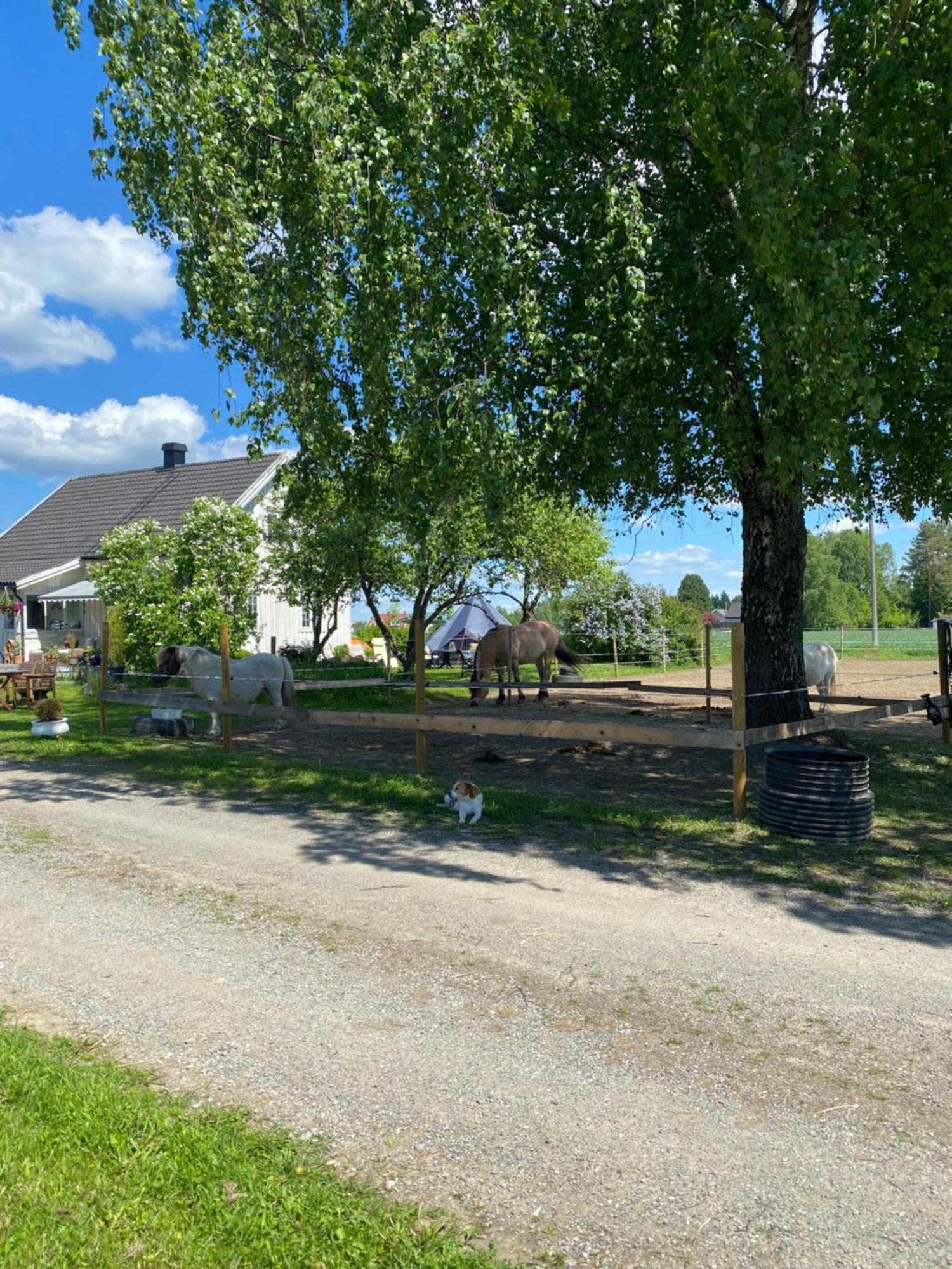 Sundby Fjordhestgard Villa Garder Exterior foto