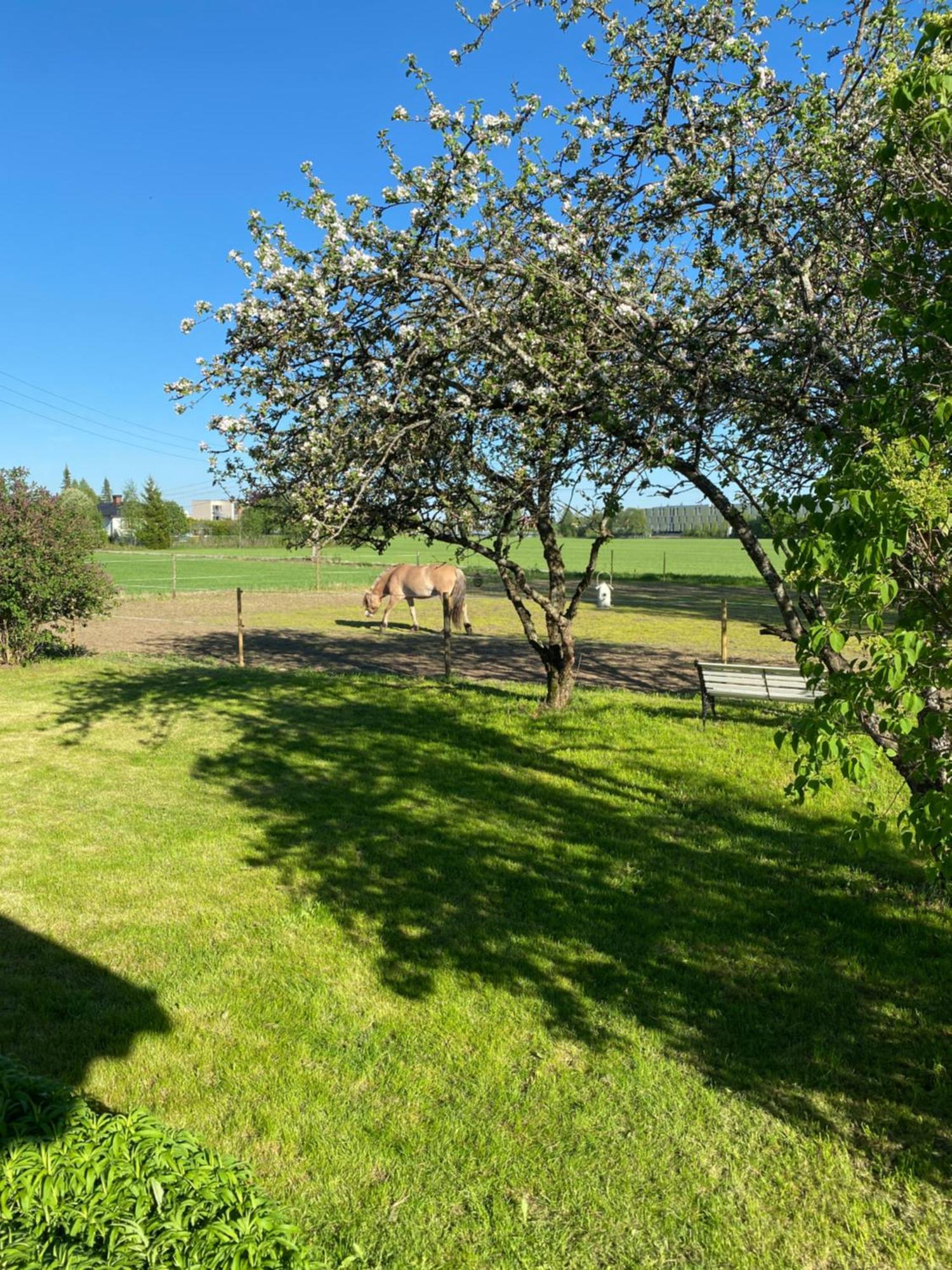 Sundby Fjordhestgard Villa Garder Exterior foto